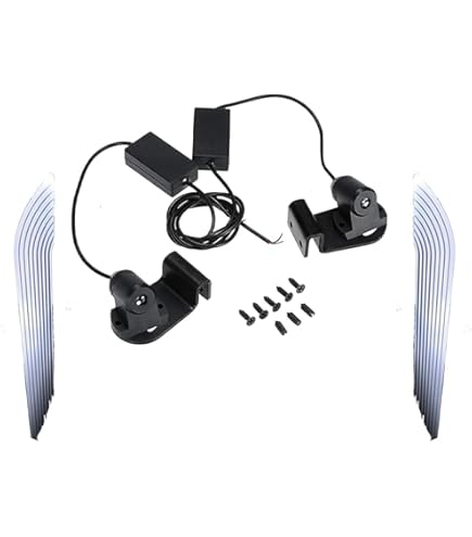 高品質 フローライト 天使の翼 手彫り ブラックスタンド付き 高品質 フローライト 天使の翼 手彫り ブラックスタンド付き Amazon